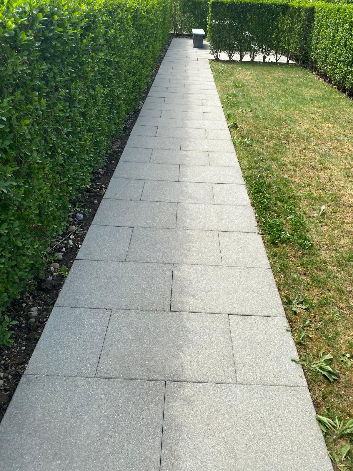Garden path after cleaning