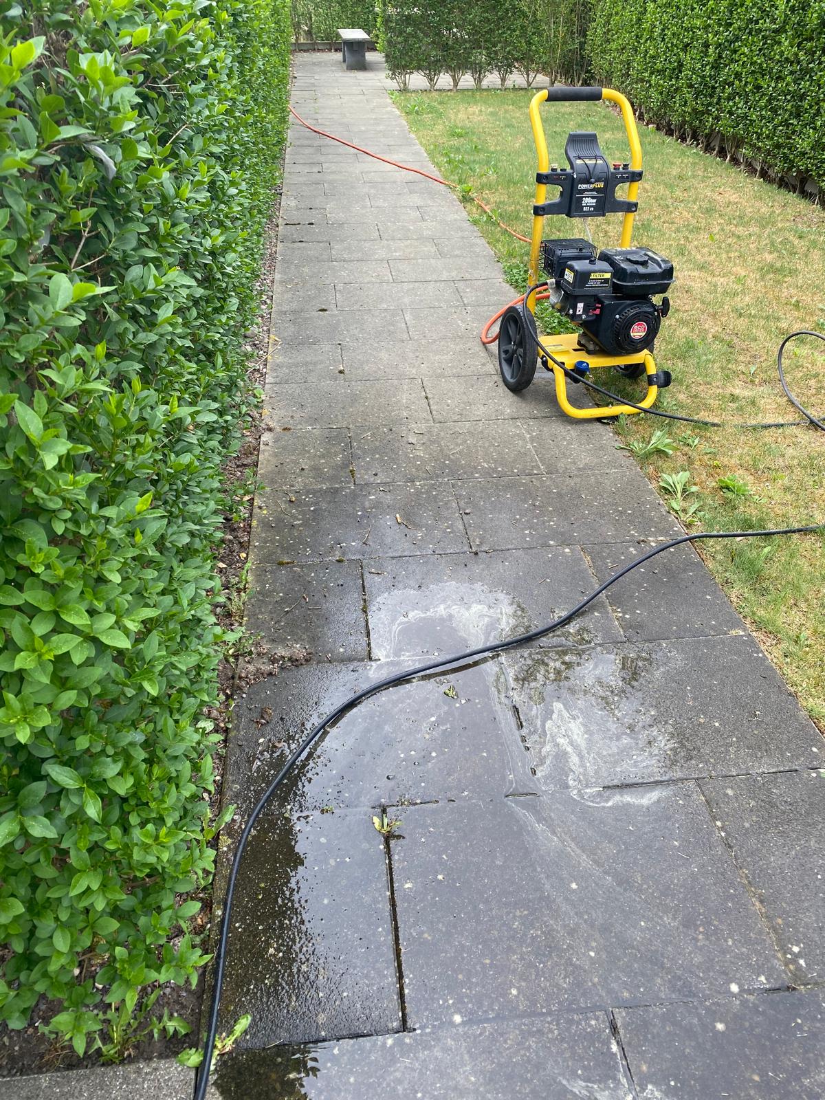 Garden path before cleaning